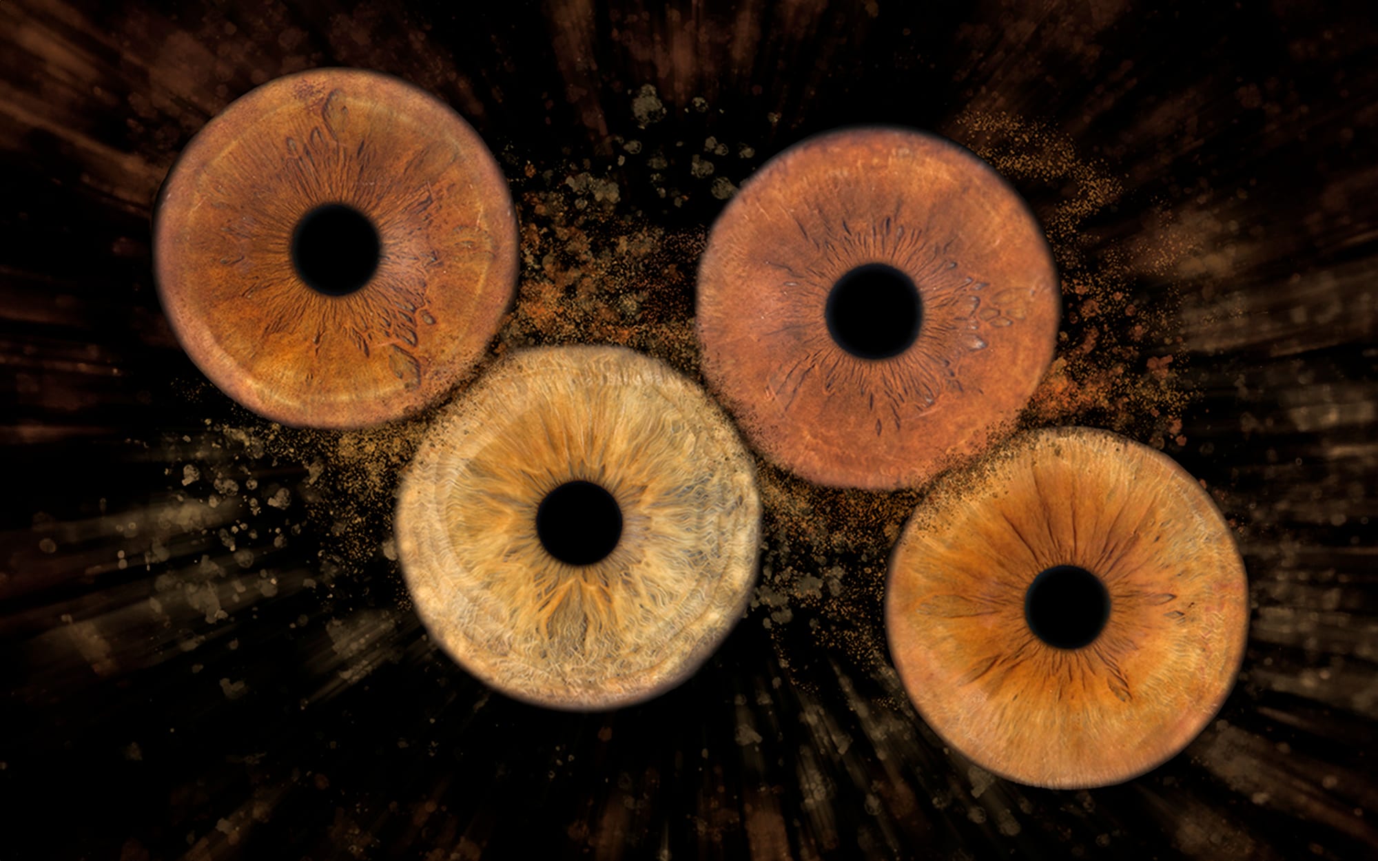 Four macro photographs of irises on a black ground, Objectiu Fotògrafs